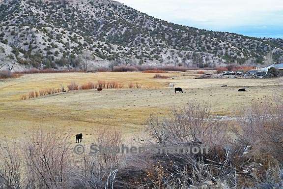 madera vicinity 1 graphic